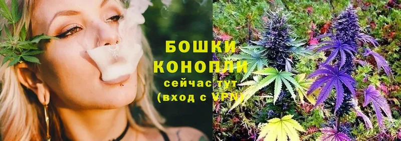 ссылка на мегу ссылки  наркота  Подольск  Марихуана White Widow 